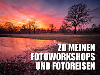 Link zu den Fotoreisen