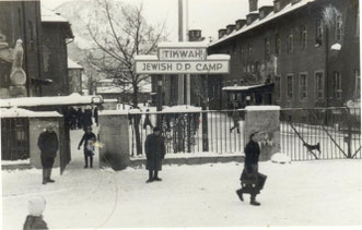 Figure 2-Extrait de l'album de Mottola
