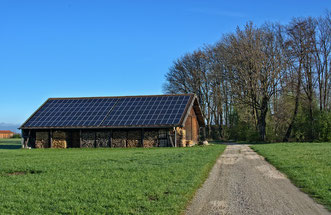 landwirtschaftliches Anwesen, Bauernhof, Pferdehaltung, Bauernhaus, Reiterhof in Brandenburg, Potsdam-Mittelmark, Havelland