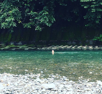 8月23日（水）