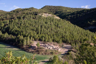 Les Guixeres area (Súria)