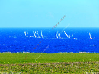 Segelregatta auf der Ostsee