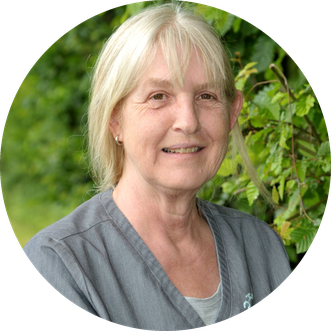Ulrike Maier-Pölzl
