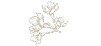 florale verzierung