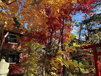 撮影　YOちゃん　龍神様が見てる風景