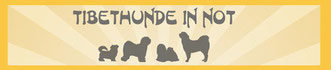 Tibethunde in Not