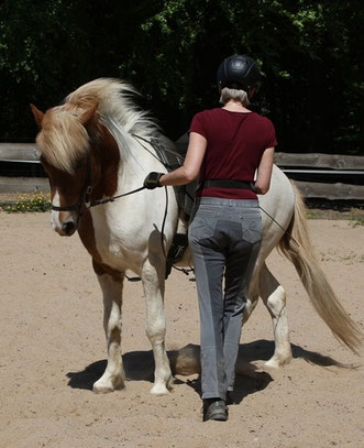 Sigrid steht neben ihrem Pferd, mit dem Rücken zur Kamera. Sie hält den Zügel in der linken Hand und fordert das Pferd mit der Gerte auf, einen Schritt mit der Hinterhand zur Seite zu machen: Eine Vorhandwendung am Boden 