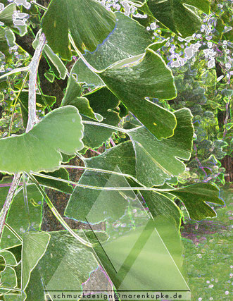 Ginkgo Biloba