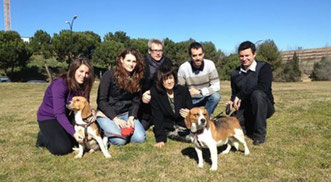 Logran curar la diabetes tipo 1 en perros. - Europa Press Agencia