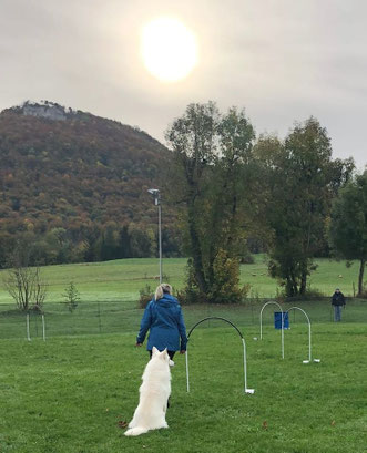 Heike in blauer Jacke steht auf einer Wiese vor ihrem sitzenden weißen Hund Gino, neben ihnen stehen einige Hoopers-Tore, im Hintergrund Hügel und Bäume bei bewölktem Himmel.