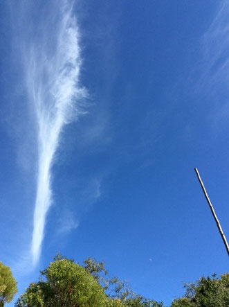 南アフリカ太古の森プラットボスの空