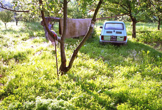 ein Auto mitten in der Wiese