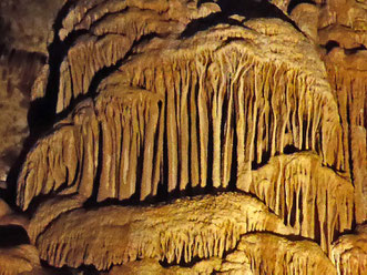 A stone forest in Jewel Cave