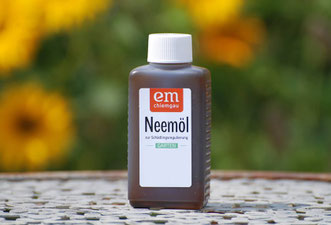 Buchs mit Neem Öl behandeln