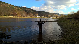 Wurfschule an der Elbe-Flyfishing-Dresden-Sebnitz