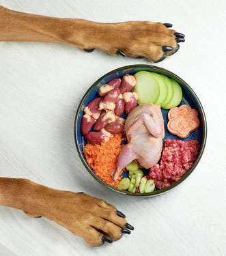 Barfen für Hunde| hundkatzeschmaus.ch