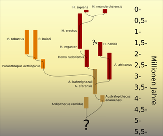 Von Bwd - Eigenes Werk (Originaltext: selbst erstellt), Gemeinfrei, https://commons.wikimedia.org/w/index.php?curid=12233741