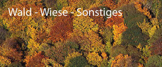 Bücher & Broschüren - Wald, Wiese, Sonstiges | Institut für Tierökologie und Naturbildung