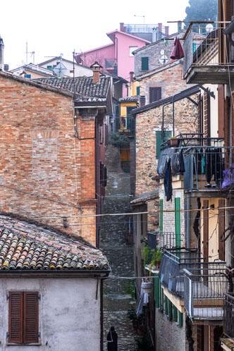 SALUDECIO: la città dei muri dipinti