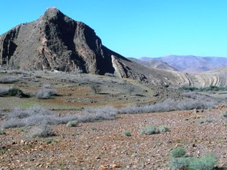 Habitat présaharien à ssp. harterti dans la Haute Vallée du Zegmouzen, Anti-Atlas nord-oriental 