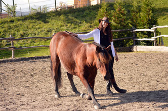 Tanja Groneberg Equestre Anspruchsvolles Freizeitreiten Schweiz Reiten Barock