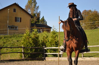 Tanja Groneberg Equestre Anspruchsvolles Freizeitreiten Schweiz Reiten Barock