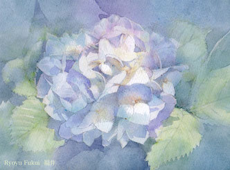 水彩画(花)№207 水彩画《樱花》 – 大盆图社