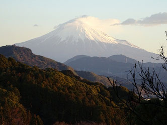 谷津山から望む富士山