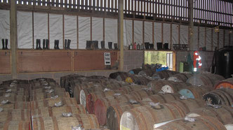 In Holzfässern wird der Cider gelagert - oben stehen die Stiefel der Helfer! 