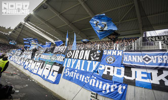 Unser Verein, unser Support, unser HSV