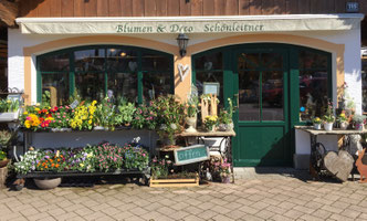 blumen-schoenleitners Webseite!