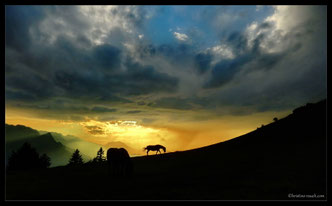 Magic Moments