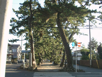 御穂神社 神の道