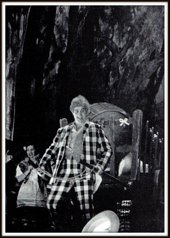 Baritono - Cesare Bardelli