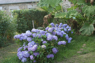 Gîte clos Montaigu Les Bois