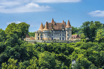 Castle in Dordogne