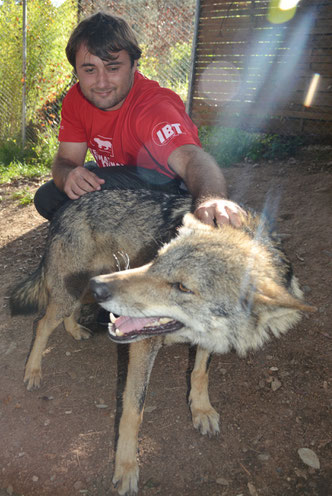 Programa de seducción ambiental con el Lobo en las escuelas