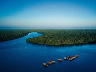 Delta del Orinoco