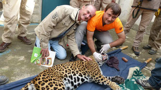 Guillermo Burnes con su padre, Carlos, tras intervenir a un Jaguar en Bolivia