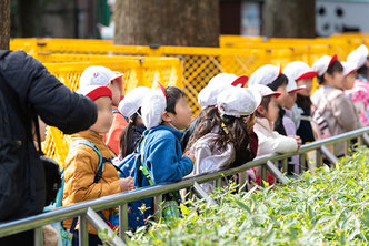幼保連携型認定こども園 大浜幼稚園 千葉県 船橋市 薬円台 年間の主な行事について 冬 卒園遠足