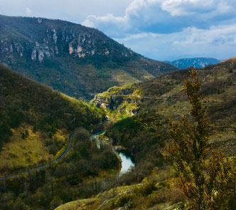 gite-exception-aveyron-vallee-de-la-dourbie-route-acces-gite-de-charme-avec-piscine-privee-le-colombier-saint-veran-qualite-5-etoiles-region-occitanie-sud-france