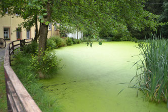 Bild: Schwarzmühle Wünschendorf Erzgebirge