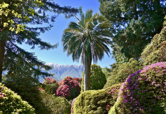Vila Carlotta, Comersee Miss ellies gartenreisen Italien