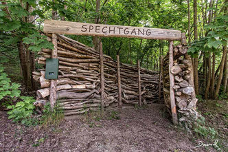 Totholz Totholzzaun Naturerlebnisraum Kiesgrube Kasseedorf  Naturgarten wildlife garden deadwood