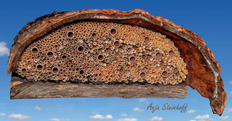 Insektennisthilfe Insektenhotel Nisthilfe  Pappröhrchen Naturstrohhalme insect nesting aid insect hotel mason bee reed straws
