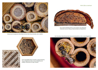 Alle wesentlichen Informationen zu einem bestimmten Insektennisthilfen-Typ sind jeweils in einem eigenen Kapitel zusammengefasst und mit zahlreichen Fotos illustriert.     