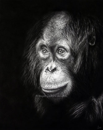 les yeux de la sagesse dans la lumière dessin original Magali Lapeyre-Mirande