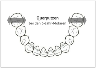 Querputzen der 6-Jahr Molaren (© tearoad - Fotolia.com)