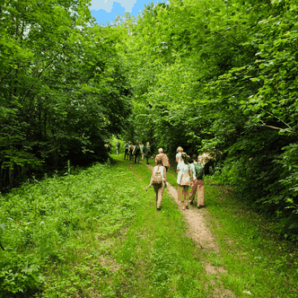 Kräuterwanderungen & Bestimmungstage