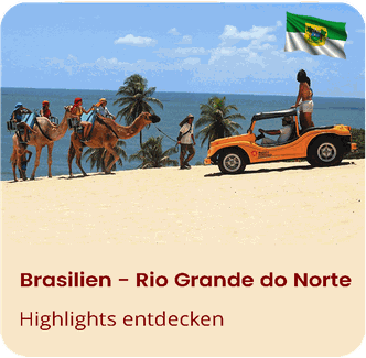Freiwilligenarbeit Brasilien-Genipabu-Rio Grande do Norte-Buggy Tour in Natal